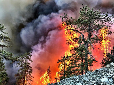 Montana Burning: The documentary of Montana forest policy