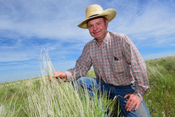 Ranchers, state work to battle weeds