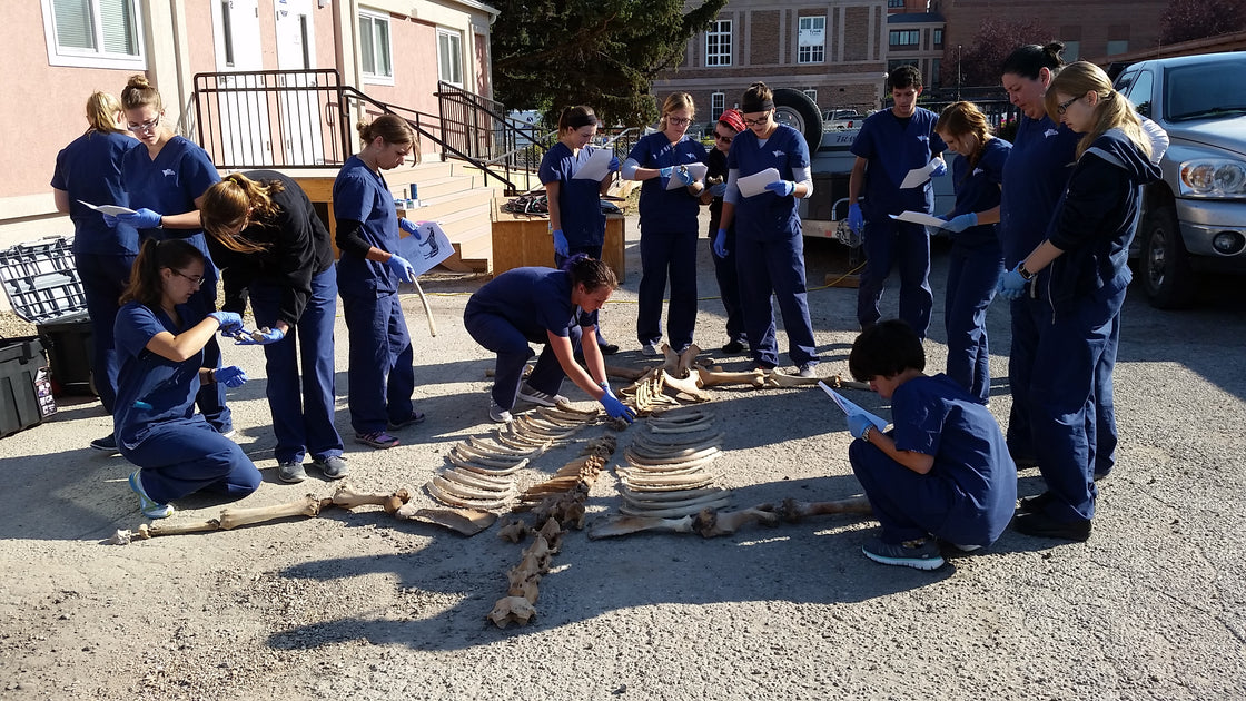 Montana college opens vettech program Montana Living