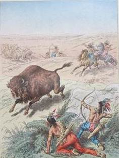The Thundering Herd of American Bison