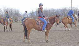 MSU students train, sell horses