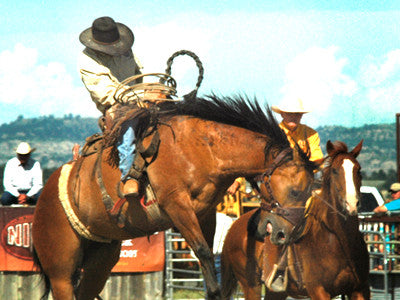 Real cowboys: the Custer Ranch Rodeo