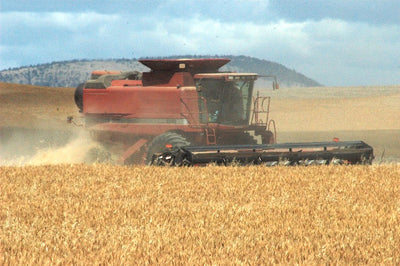 Montana crops down to record levels
