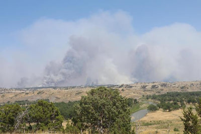 Montana's 2017 wildfire season