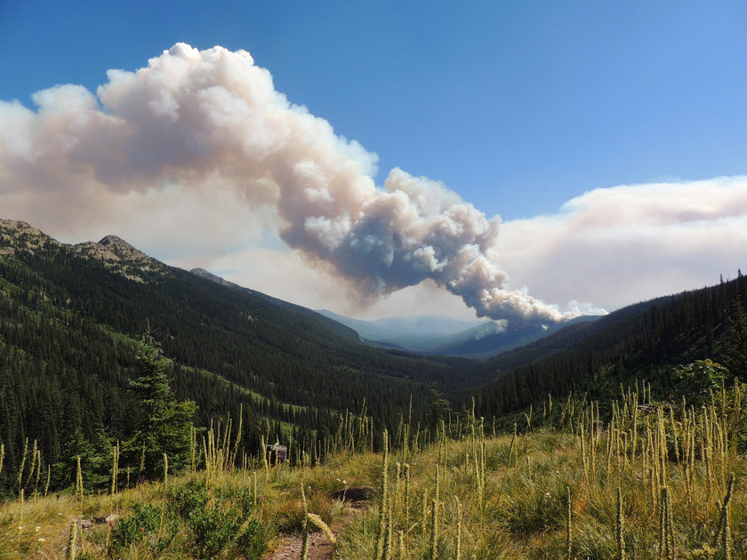 Seeley Lake closed for fighting fires Montana Living
