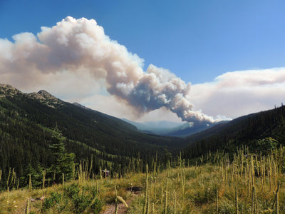Seeley Lake closed for fighting fires