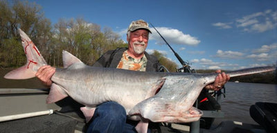 Montana Paddlefish applications due