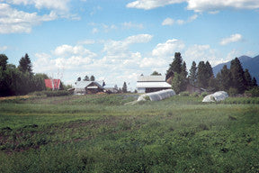 Organic farmer helps build ag studies at FVCC
