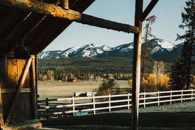 New music festival debuts in Whitefish