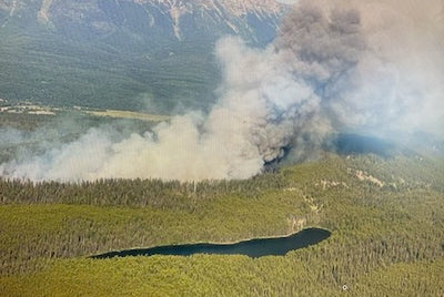Forest fire in Swan Valley burning near highway
