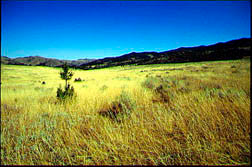 Great Drives: Ennis to West Yellowstone