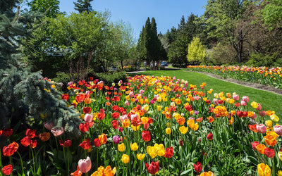 Spring garden tour in Kalispell