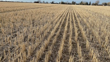 How human waste is used on farms