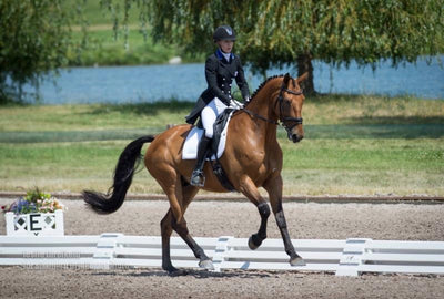 The Event at Rebecca Farm results