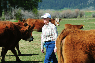 Endecott Ranch works to preserve watershed