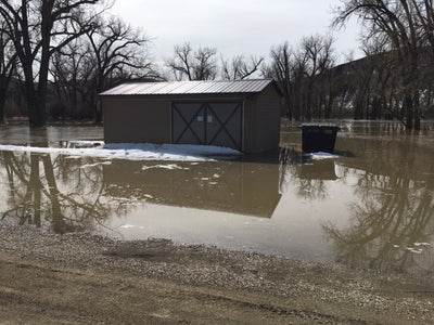 Mighty Missouri begins its rise