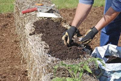 New Heights: Raised-bed gardening
