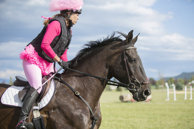 Event at Rebecca Farm supports cancer organizations