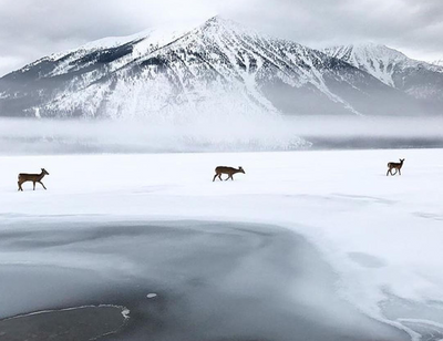 Glacier Park lifts restrictions on boats