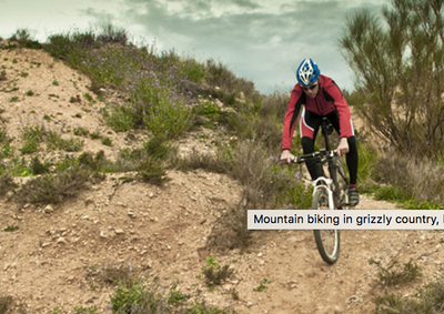 Mountain biking in bear country