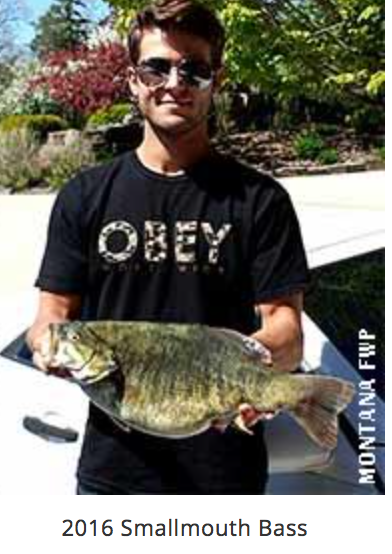 Montana state fishing records