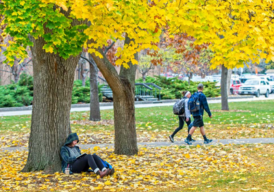 UM enrollment on slow decline, MSU grows