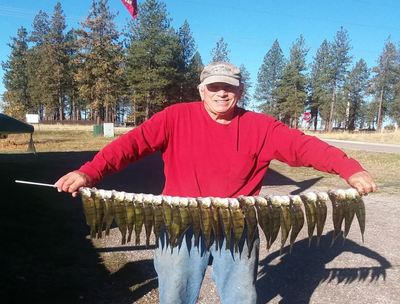 Whitefish bite hot on Flathead Lake