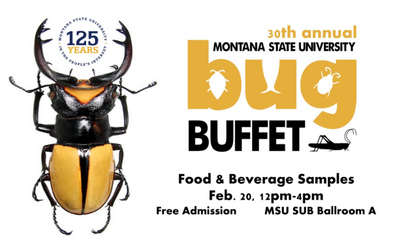 Line up for the bug buffet