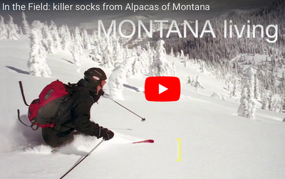 Field Test: alpaca socks from Alpacas of Montana