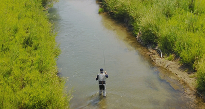 Projects improve Montana fish habitat