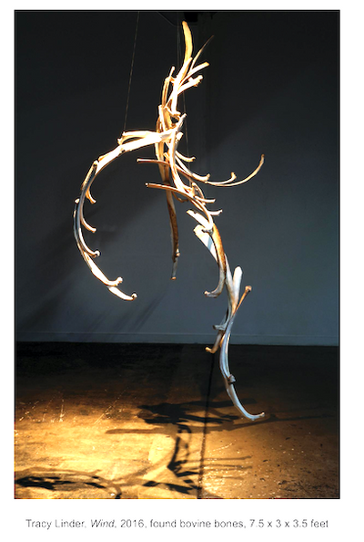 Happenings at the Yellowstone Art Museum