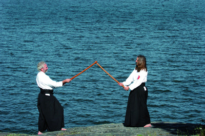 Aikido: a peaceful way of the warrior