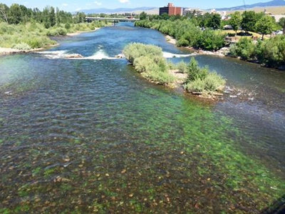 Clark Fork Coalition works to clean river