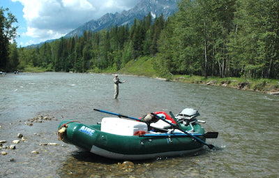 Fishing restrictions lifted