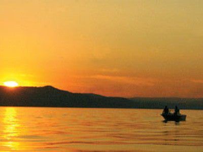 Fish On! Angling for Flathead Lake's Lake Superior Whitefish