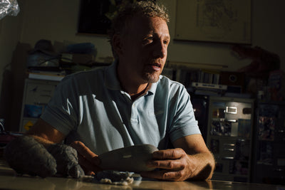 Ancient lizard species found on Egg Mountain