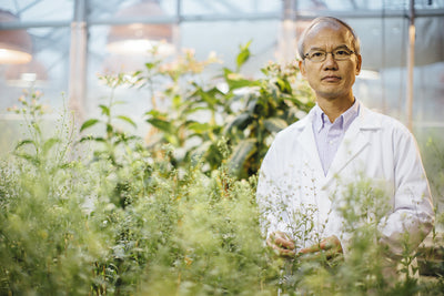 Ancient camelina receives federal funding