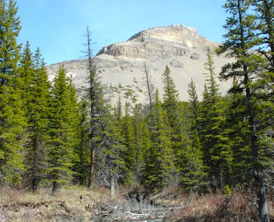 Feds close chapter on Badger Two Medicine