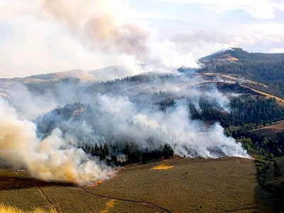 Be safe with campfires on Labor Day