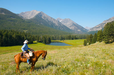 A Cattle Drive for a Cause