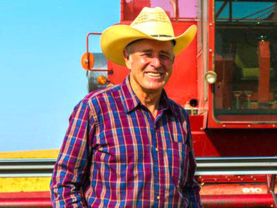 Kamut brings ancient wheat to Montana