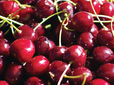 Cherry expert speaks at growers' meeting