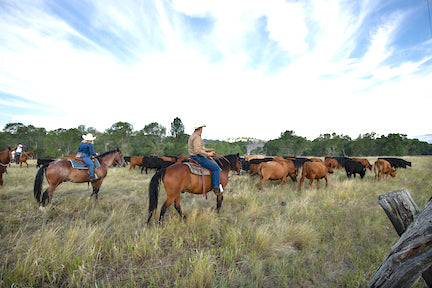 Circle Bar Guest Ranch is a Montana gem – Montana Living