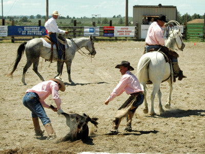 See cowboys in action at Montana's Custer Ranch Rodeo