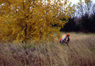 That’s My Boy! The bond between bird hunter and dog