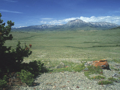 Driving Montana's Rocky Mountain Front