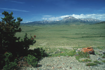 Egg Mountain dinosaur site sold