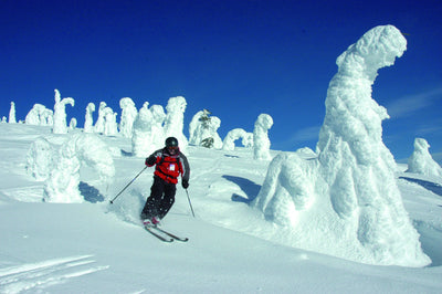 In the Field: Avalanche Awareness and Safety