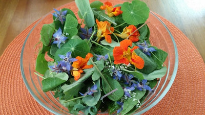 Stop and Eat the Flowers