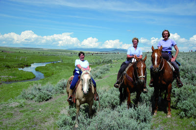 An authentic Montana cattle drive